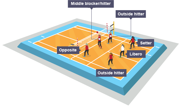 Volleyball Players 